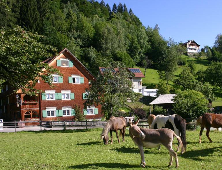 Hotel Gasthaus Schaefle 버서버그 외부 사진